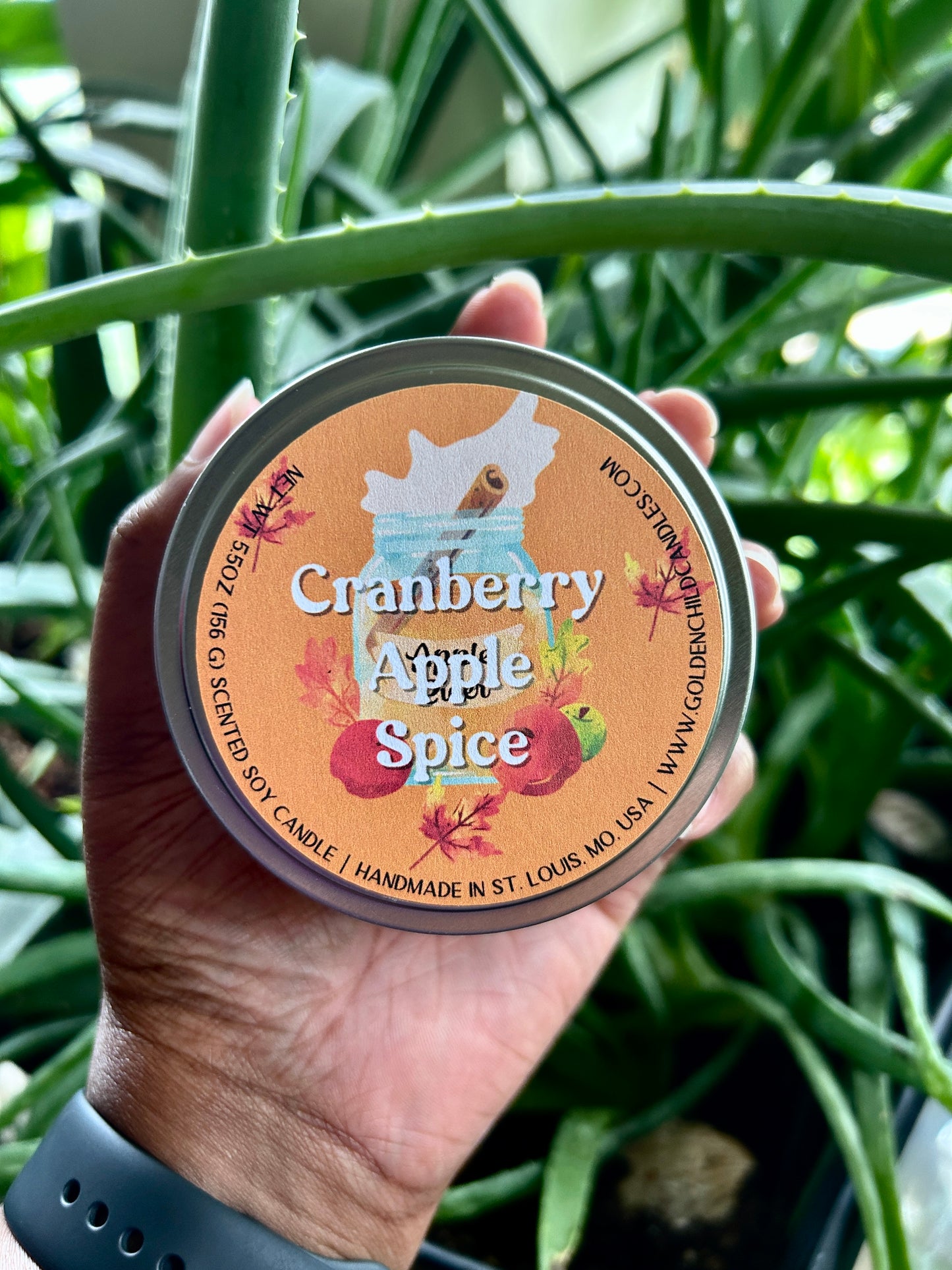 Cranberry Apple Spice 5.5 Travel Tin Candle