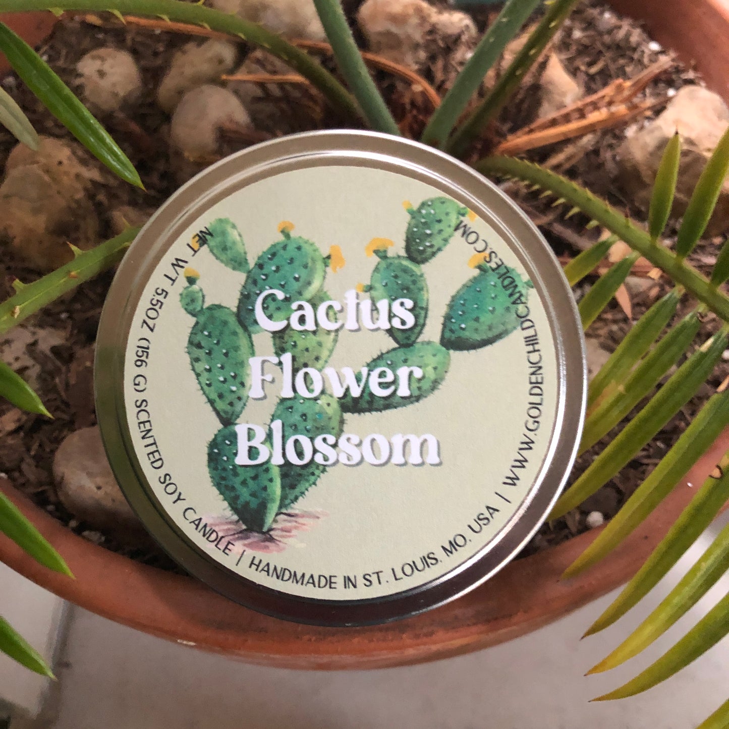 Cactus Flower Blossom 5.5 oz Travel Tin Candle