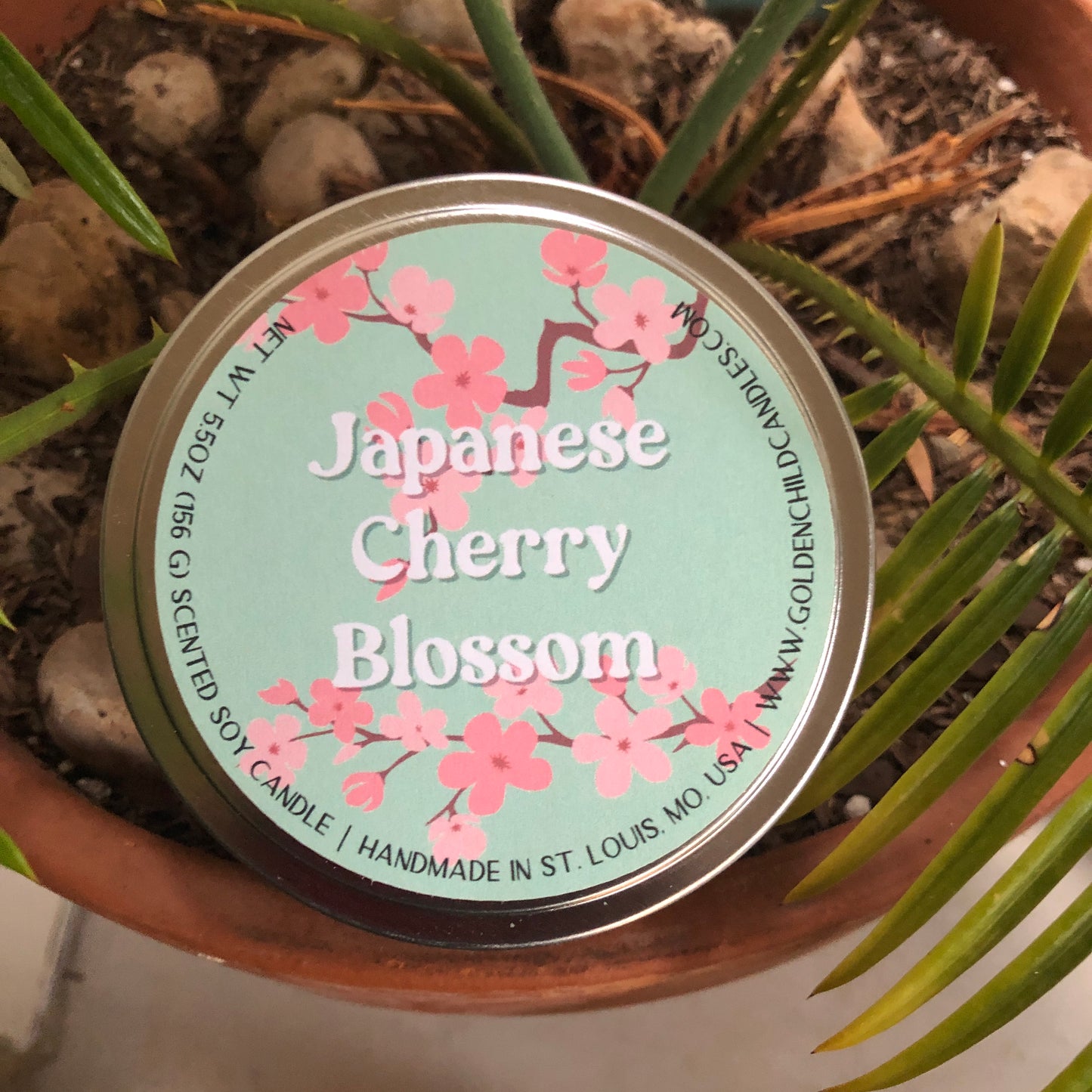 Japanese Cherry Blossom 5.5 oz Travel Tin Candle